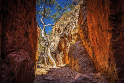 self-guided access to Angkerle Atwatye in the West MacDonnell Ranges is via a 1.2km trail, but it’s best visited on cultural tours with an Arrernte guide