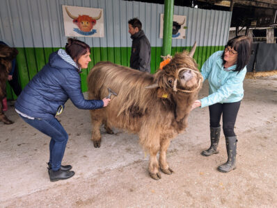 Two ladies petting a Highland cow at Dumble Farm, East Yorkshire, VisitEngland Awards for Excellence 2025 Gold Winner