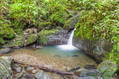 El Yunque National Forest, Puerto Rico
