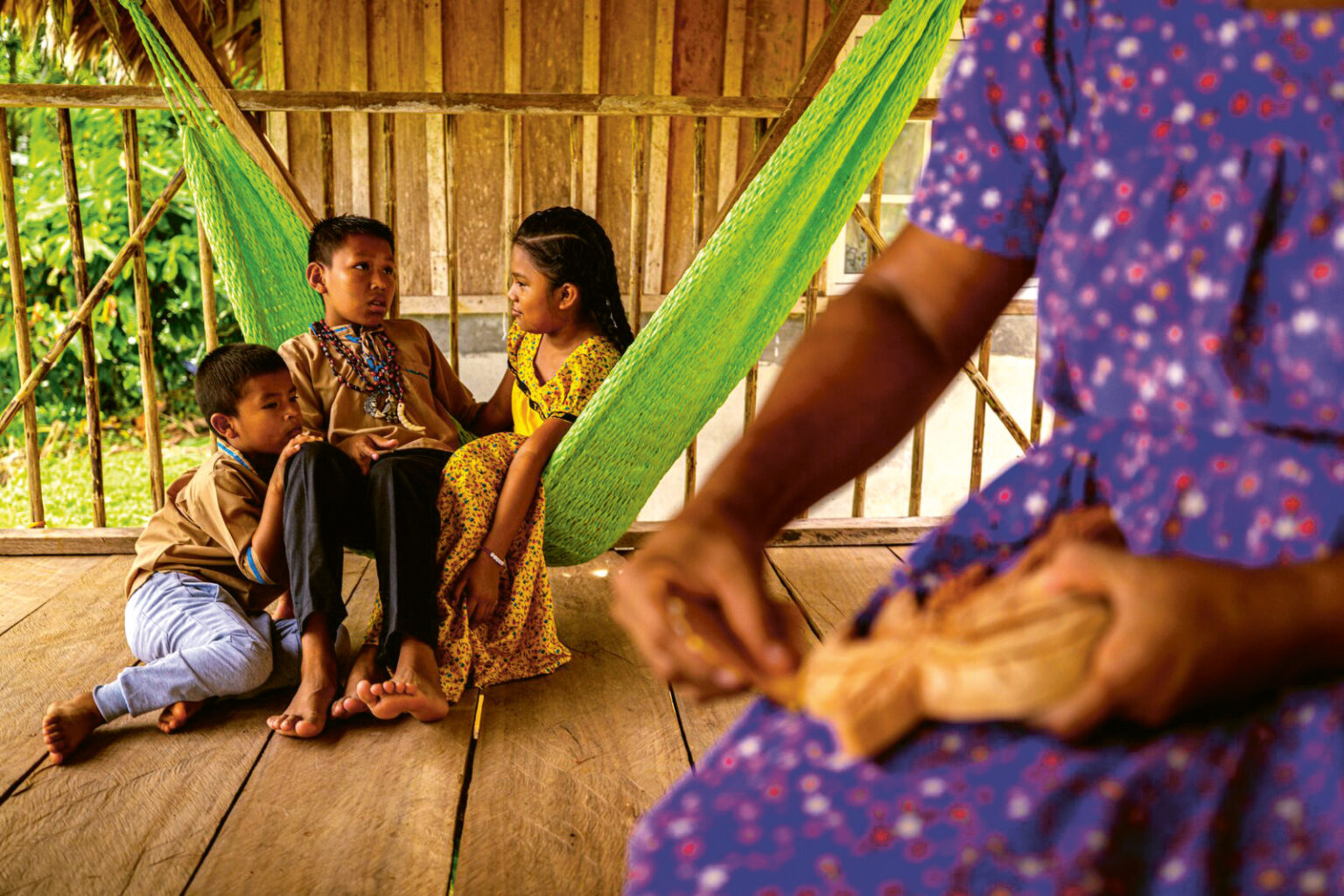 Large Comarca Naso Tjër-Di, Changuinola, Bocas del Toro Province