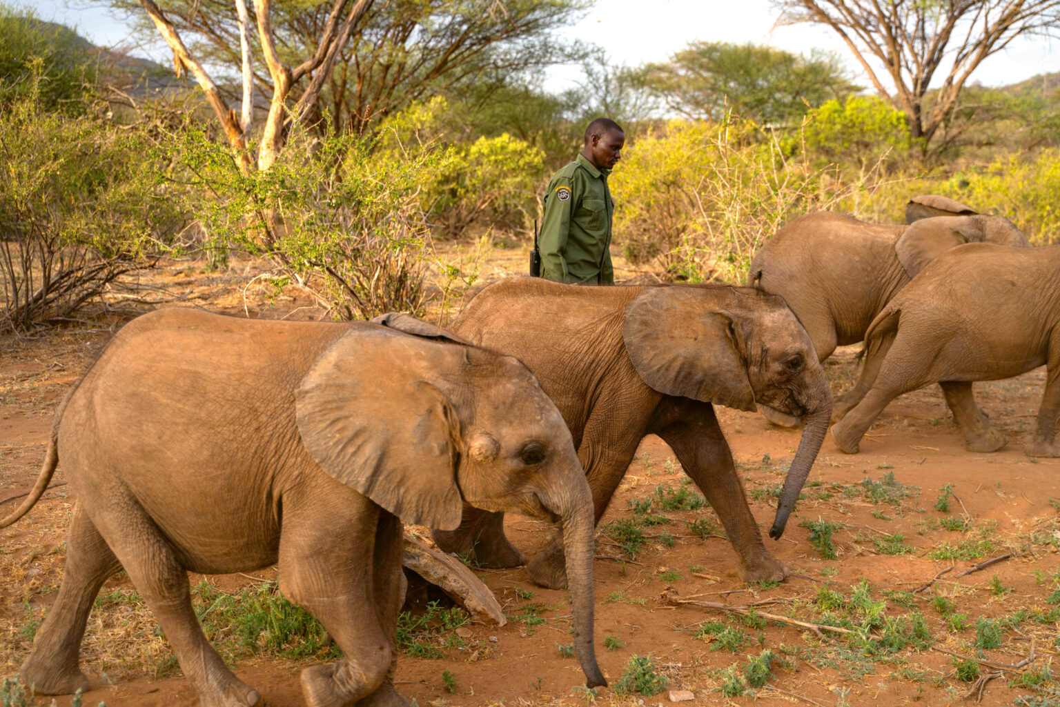 Reteti Elephant Sanctuary Bush Walk