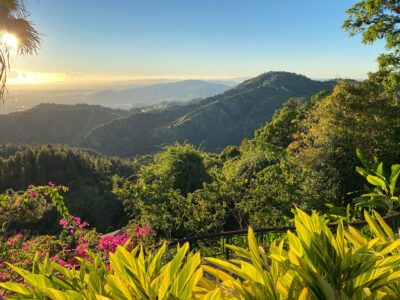 Panoramas in Puerto Rico's El Yunque National Forest (Shutterstock)