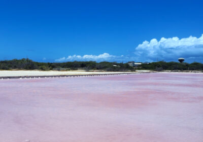 The pink salt flats of Cabo Rojo, Puerto Rico