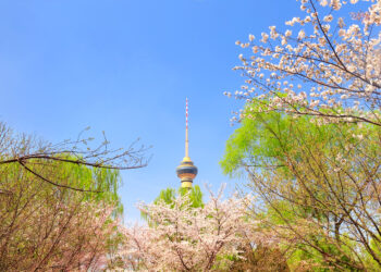 View of Central Radio and Television Tower framed by cherry blossom in Yuyuantan Park