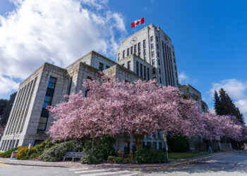 Cherry blossoms outside Vancouver City Hall