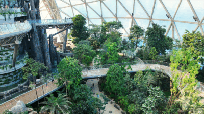 Interior of China's Eden Project