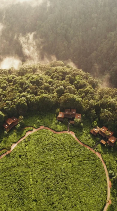 One&Only Nyungwe House from above surrounded by grass and trees